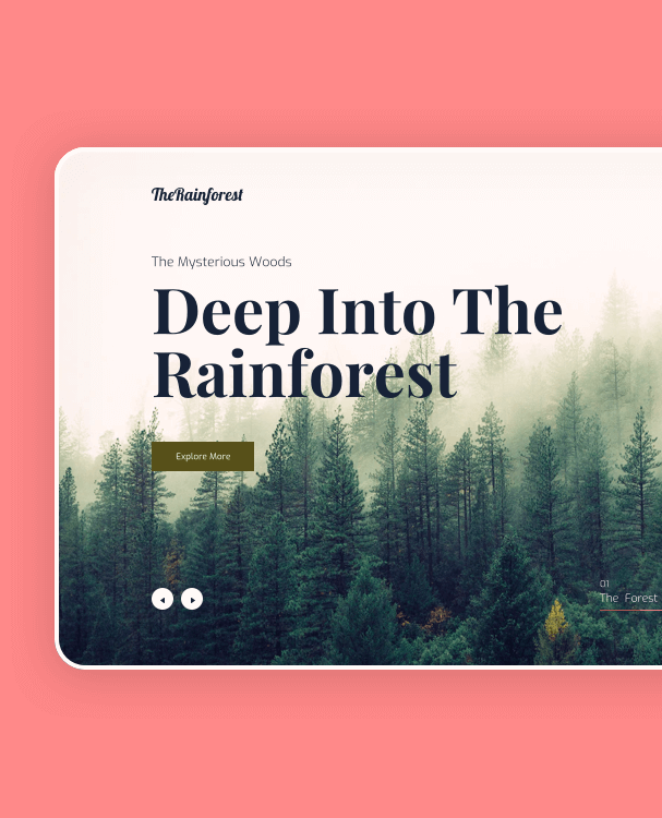 The Rainforest.